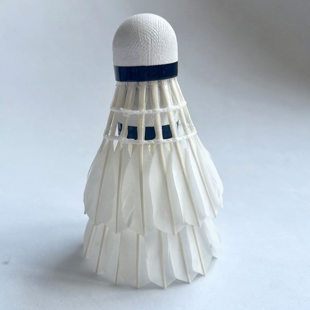 Professioneller Badmintonball  – Feather Shuttlecock Bewertung und Preis