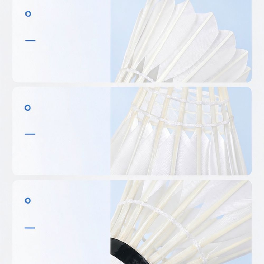 Professioneller Badmintonball  – Feather Shuttlecock Bewertung und Preis