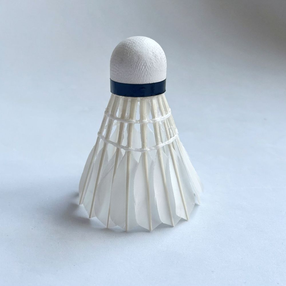 Professioneller Badmintonball  – Feather Shuttlecock Bewertung und Preis